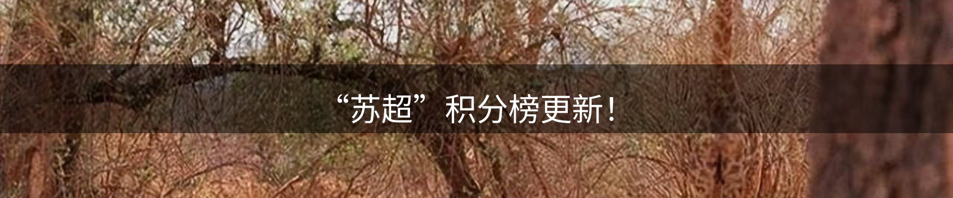 综合资讯