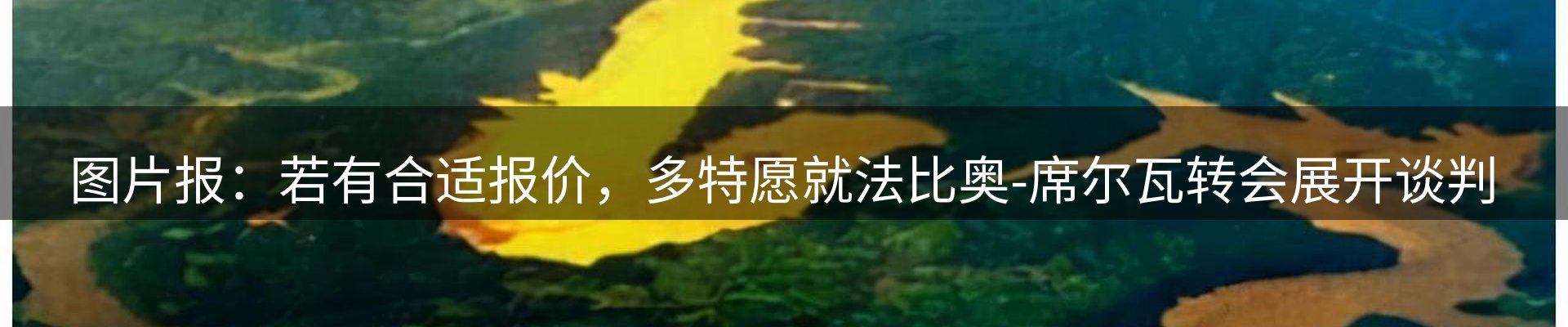今日快讯