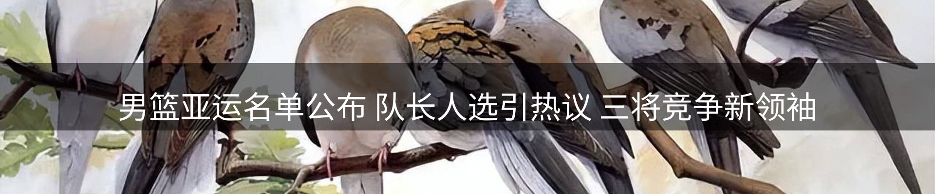综合资讯