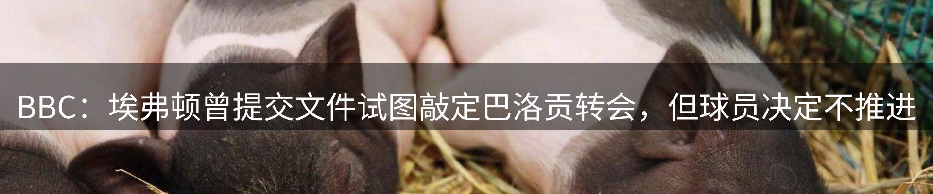 今日快讯